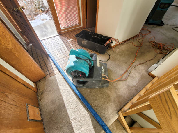 Best Water damage restoration near me  in Warren, MN