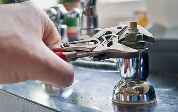 Best Flood damage cleanup  in Warren, MN