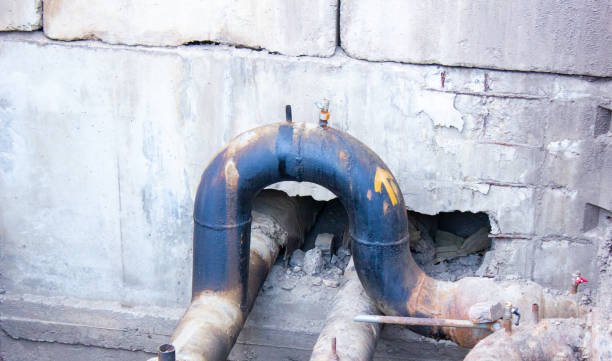 Best Basement water damage restoration  in Warren, MN